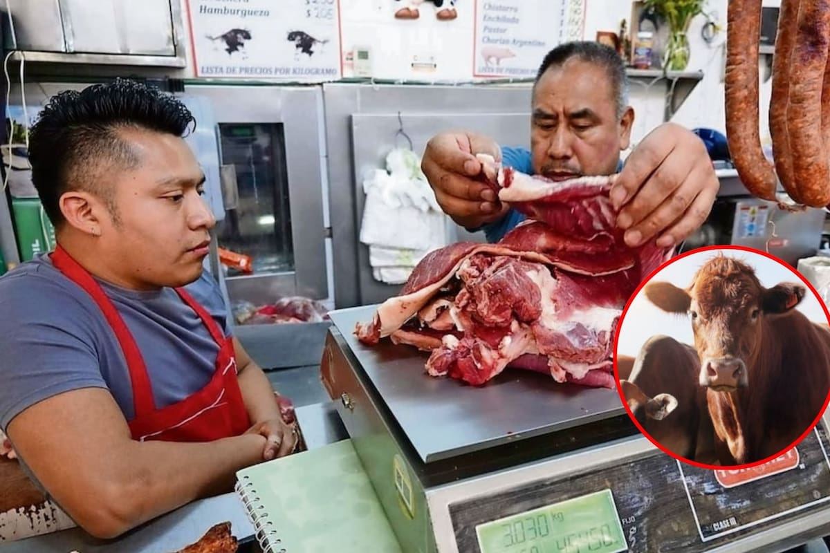 Se dispara precio de carne de res pese a que más ganado queda en el país por restricciones de EEUU por el gusano barrenador