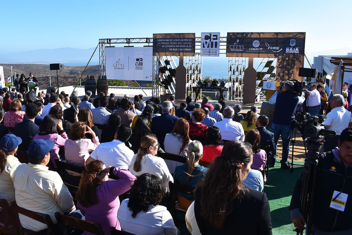 Inicia edificación del Centro de Estudios Vitivinícolas de BC