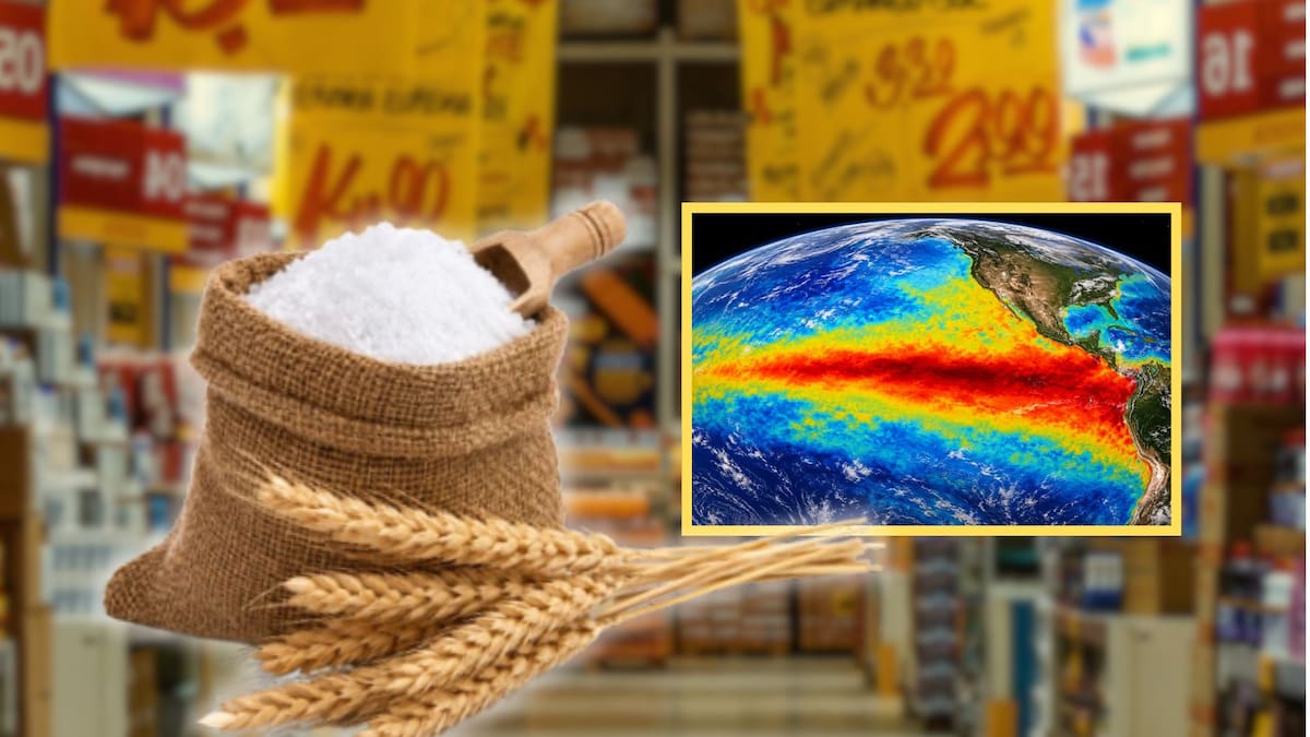 Los precios mundiales de los alimentos bajaron levemente un 0.3% en junio por la caída de los cereales y el azúcar, pero la FAO advierte que el impacto de El Niño amenaza las próximas cosechas