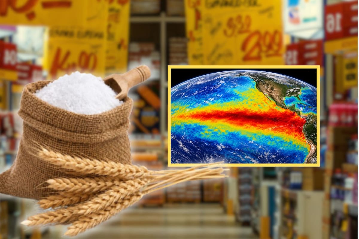 Los precios mundiales de los alimentos bajaron levemente un 0.3% en junio por la caída de los cereales y el azúcar, pero la FAO advierte que el impacto de El Niño amenaza las próximas cosechas