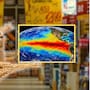 Los precios mundiales de los alimentos bajaron levemente un 0.3% en junio por la caída de los cereales y el azúcar, pero la FAO advierte que el impacto de El Niño amenaza las próximas cosechas