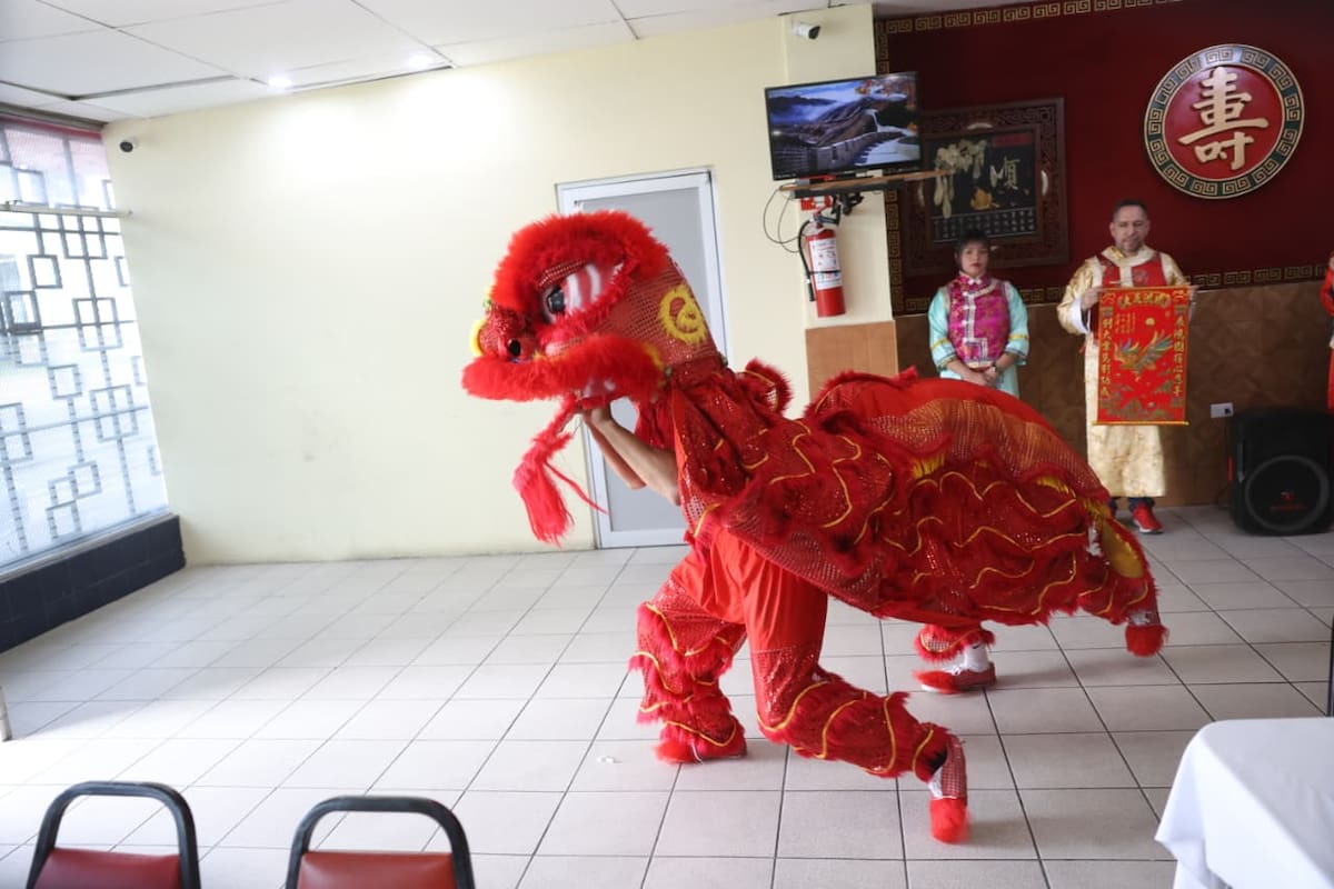 Celebran el Año Nuevo Chino con danza de León en Hermosillo: un evento lleno de tradición y esperanza