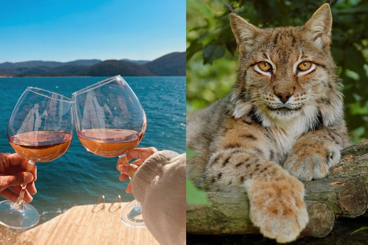 Efemérides del 11 de junio: ¿Qué pasó un día como hoy?