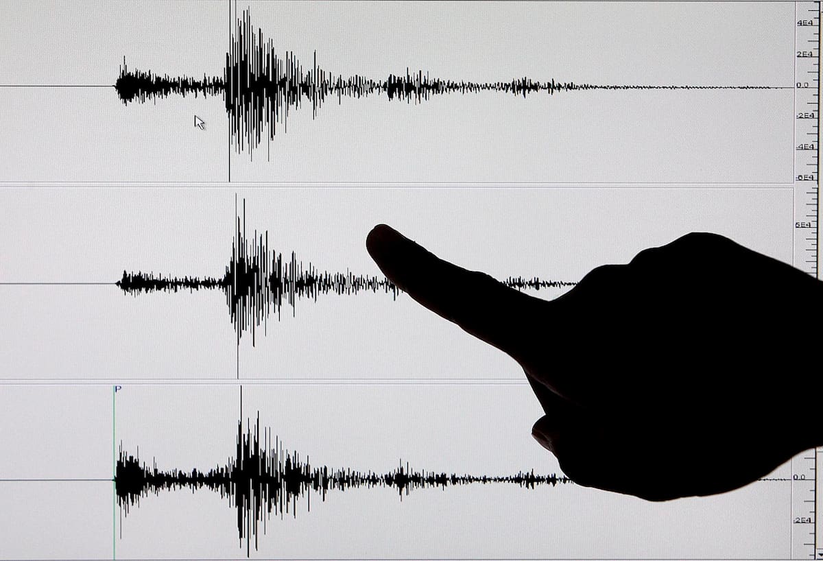 Vista de los datos de un sismógrafo tras un terremoto, en una fotografía de archivo. EFE/Alanah M. Torralba