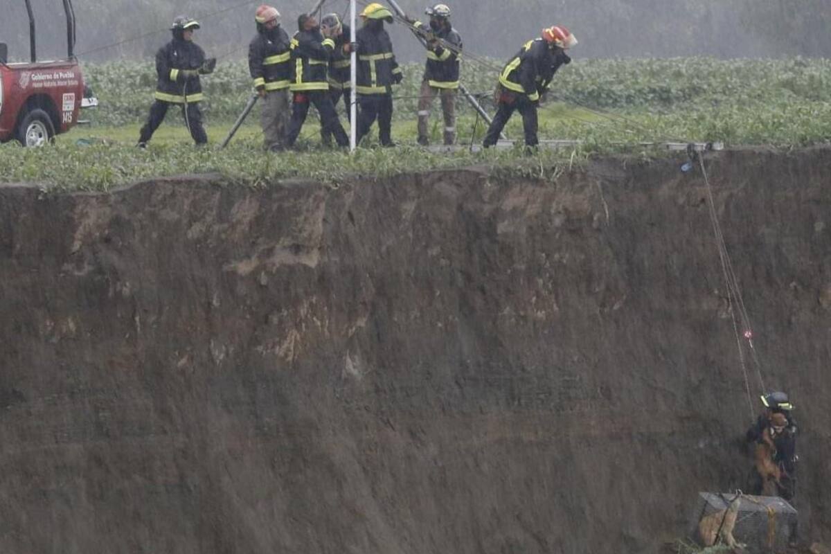 Rescatan a perritos que cayeron en enorme Socavón de Puebla