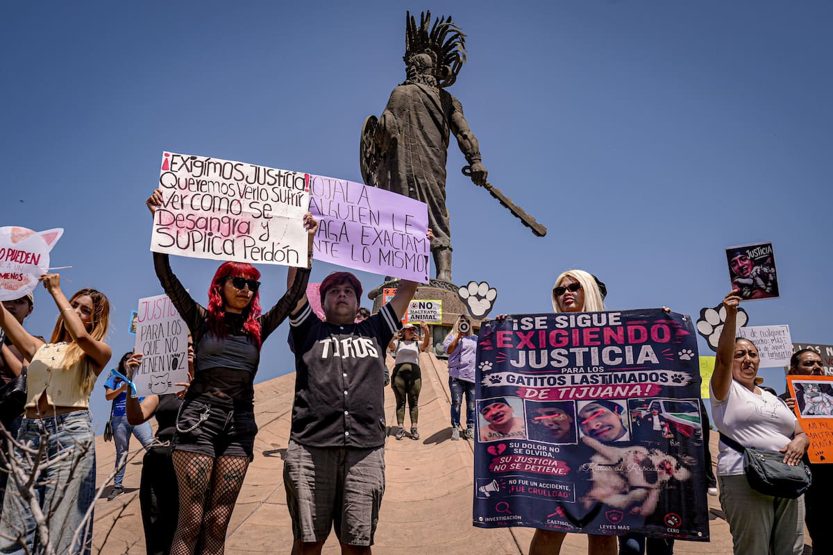 El responsable del acto de brutalidad animal fue dejado en libertad por la Fiscalía General del Estado. Foto: Leonardo González
