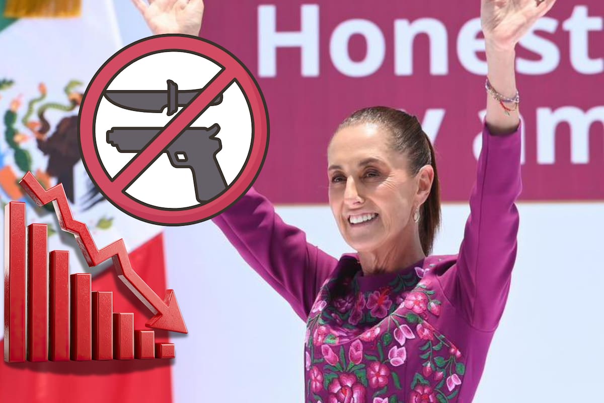 Durante la rendición de cuentas a dos años de su triunfo, Sheinbaum detalló que los homicidios dolosos bajaron 49% y los delitos de alto impacto 20% en 20 meses