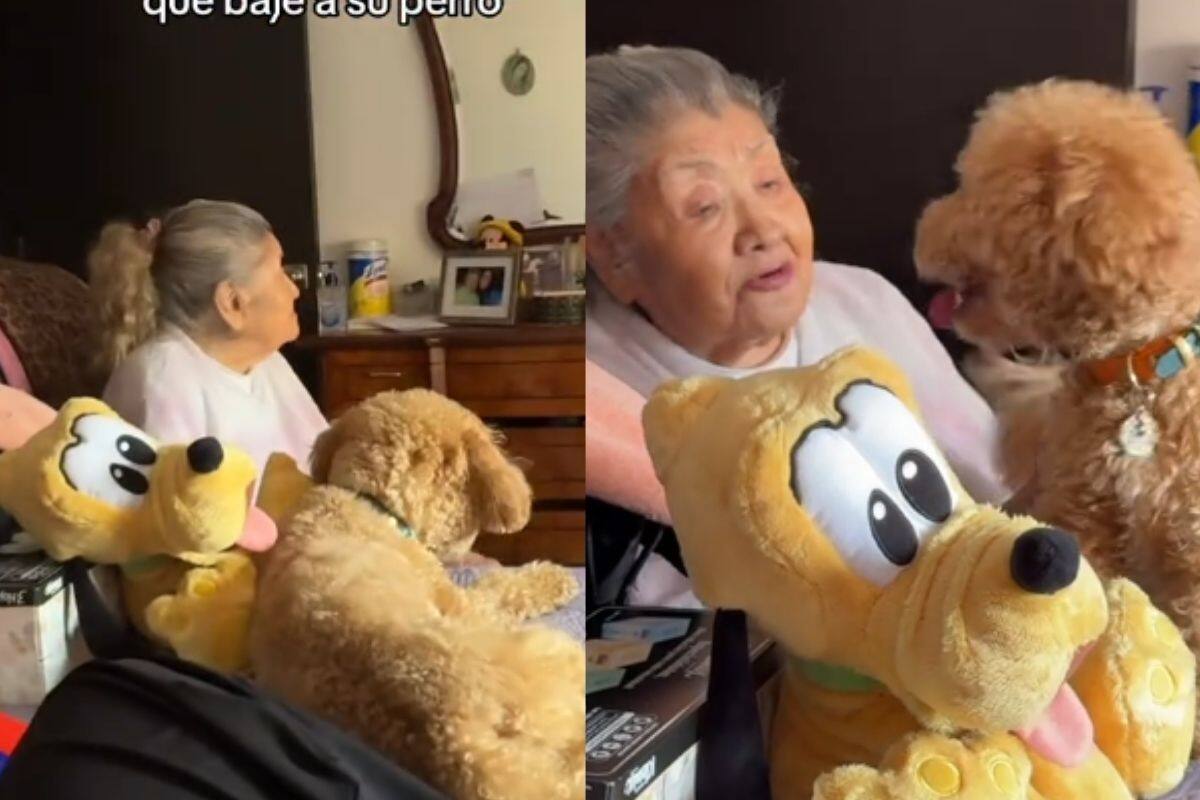 “Hueles a mier...”: Tras querer bajar a su perro de la cama, una abuelita termina bajando a su nieta
