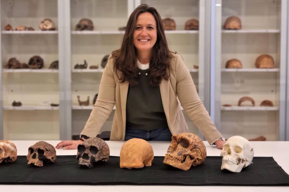 La evolución del cerebro ha favorecido algunos trastornos mentales, indica Experta