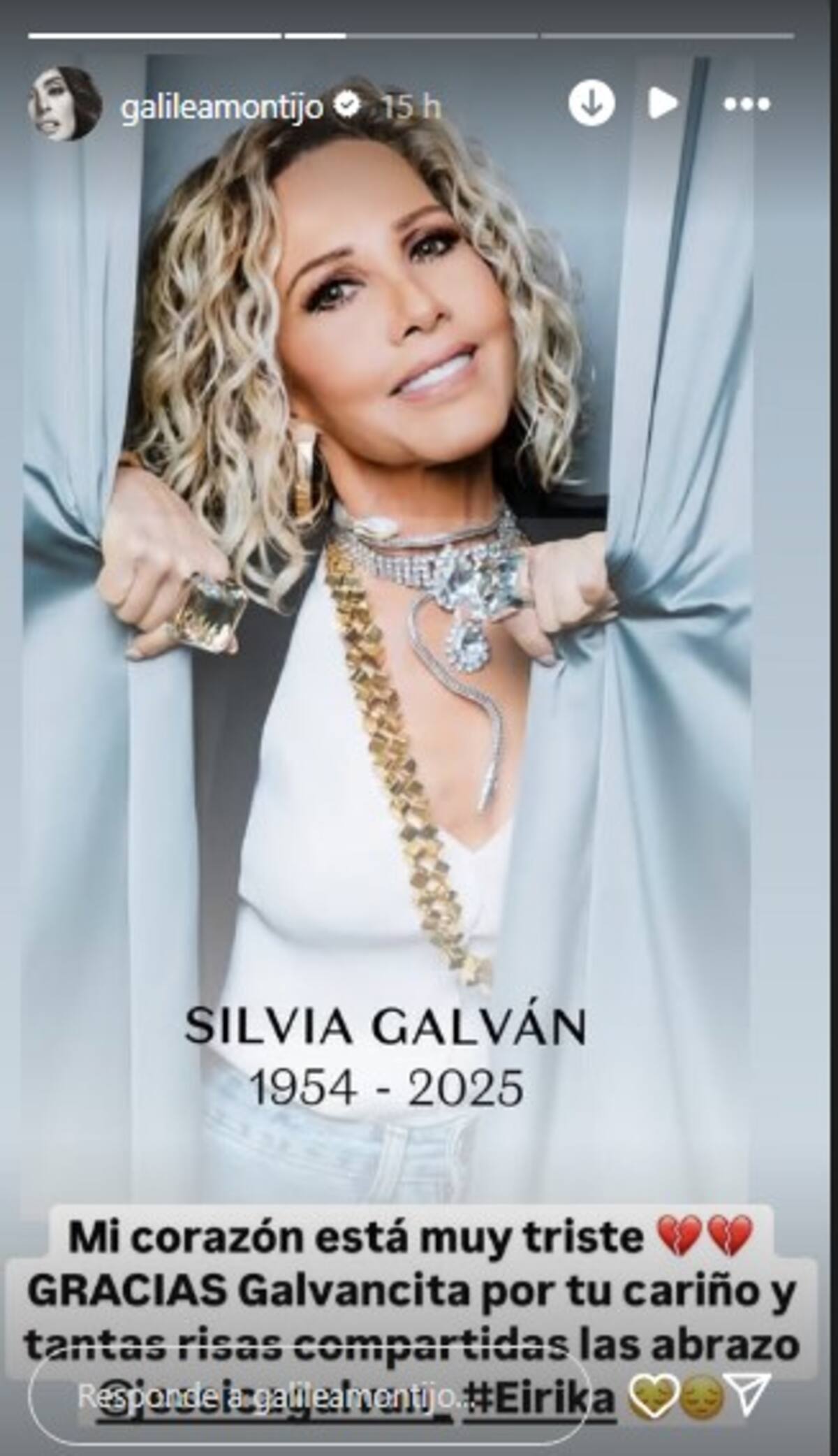 Galilea Montijo lamenta la pérdida de Silvia Galván / Instagram @galileamontijo