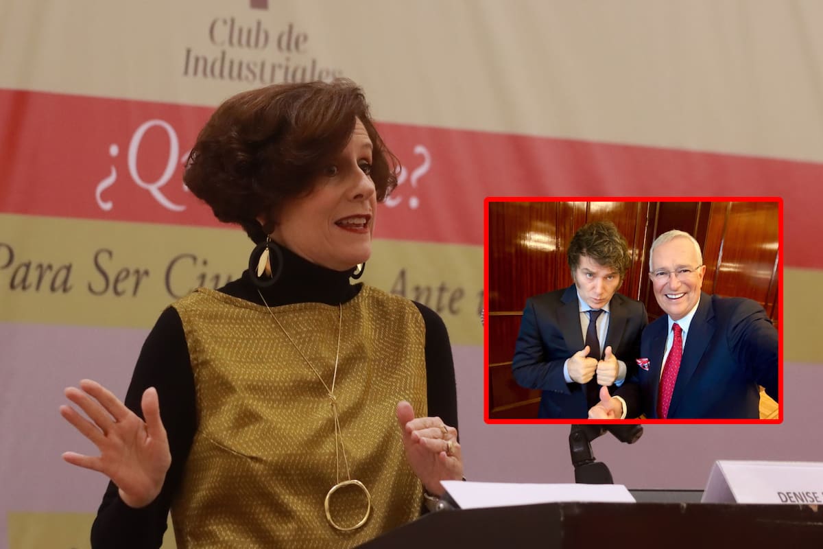 Ricardo Salinas Pliego llama “p*ndeja fracasada” a Denise Dresser por hablar de Elektra