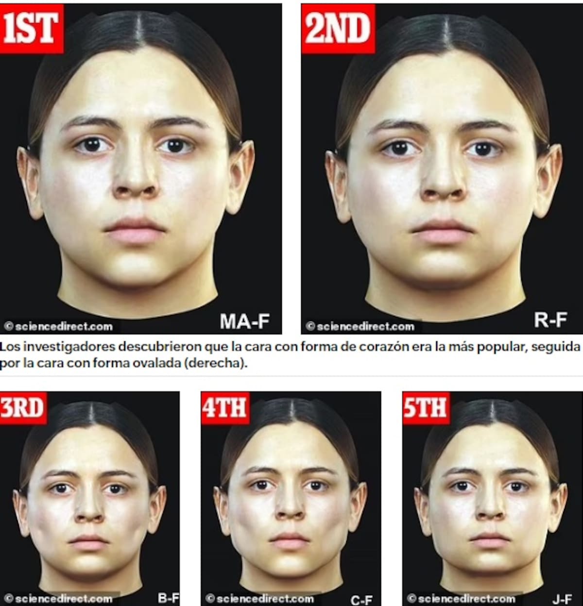 Los rasgos suaves y curvos de una cara en forma de corazón se perciben como más femeninos. FOTO: sciencedirect