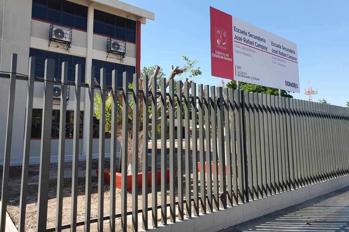 Denuncian poda irresponsable de árboles en secundaria de Obregón