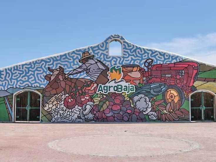 Conferencias, talleres de cocina y paneles: así será la agenda de AgroBaja 2026