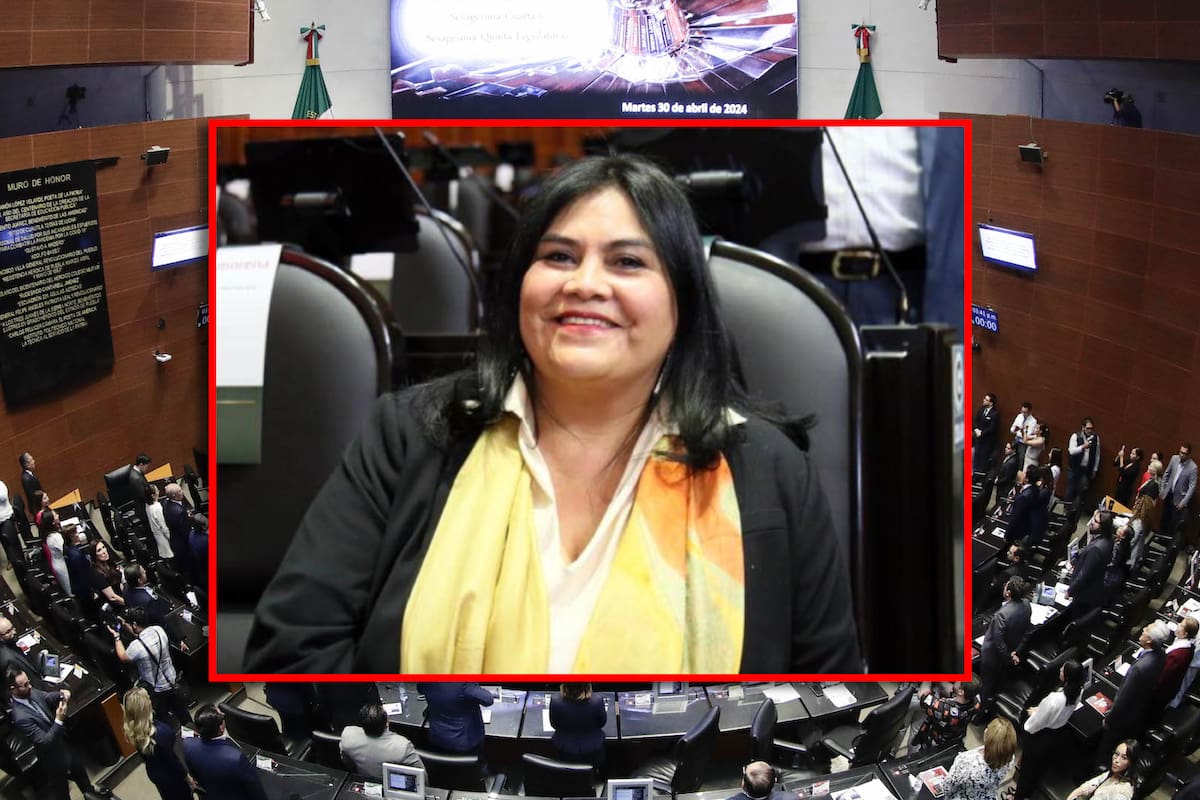 ¡Bye Noroña! Guadalupe Chavira busca presidir el Senado, ¿quién es la senadora de Morena que quiere ocupar su lugar?