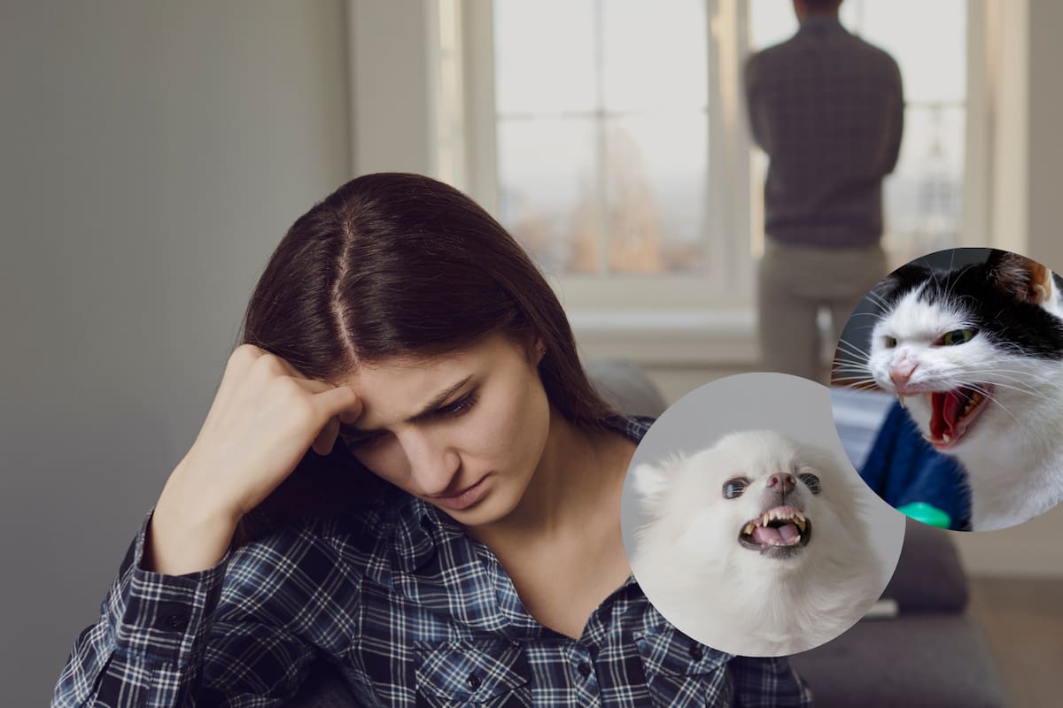 ¿Vives enojado? La ira constante puede puede provocar enfermedades cardíacas, bulimia y hasta accidentes automovilísticos, advierte estudio