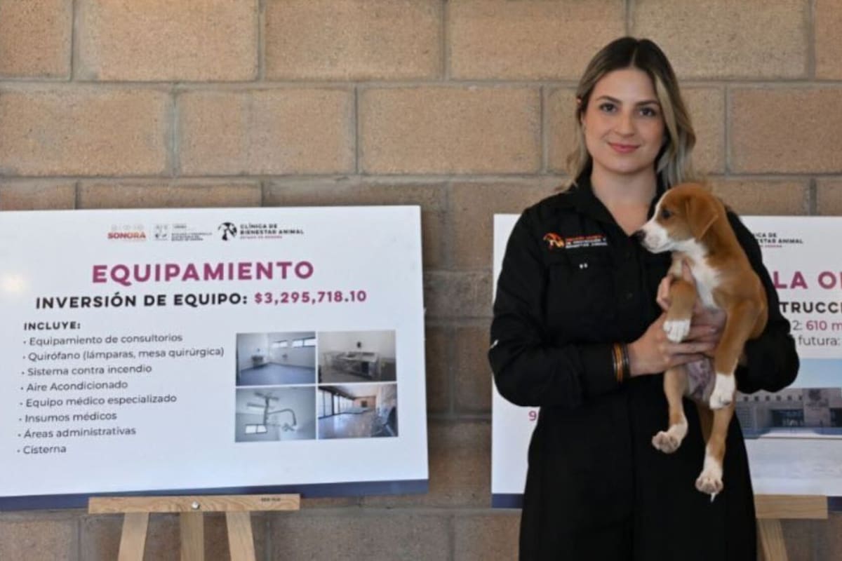 Atención veterinaria gratuita en la Clínica de Bienestar Animal: esteriliza y vacuna a tu mascota