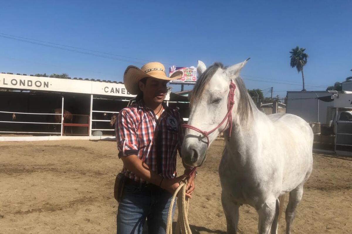 Reciben equinoterapia 180 adictos en el centro de atención de El Mezón en Rosarito