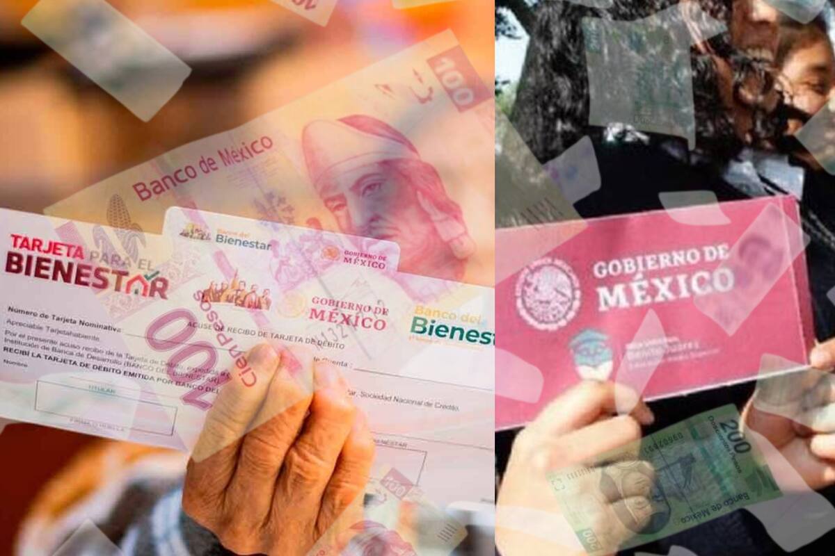 Desde becas hasta pensiones: estos son los programas sociales que tendrán mayor presupuesto en 2025