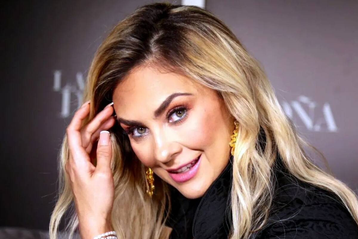 Aracely Arámbula dispuesta a que sus hijos convivan con la familia de Luis Miguel
