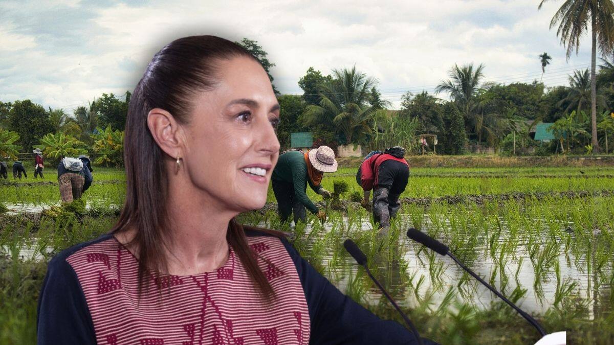 Sheinbaum aclara que el nuevo Programa Nacional Hídrico no afectará a los productores agrícolas y se administrará “de manera honesta”