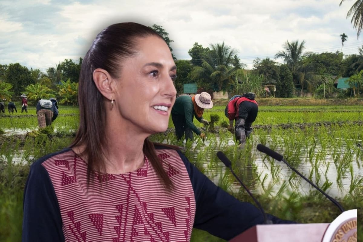 Sheinbaum aclara que el nuevo Programa Nacional Hídrico no afectará a los productores agrícolas y se administrará “de manera honesta”