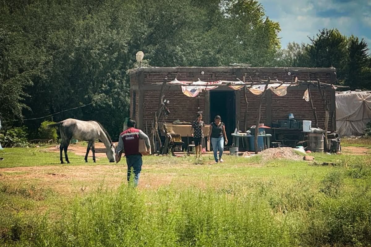 Mientras continúa la recuperación tras el huracán Polo en Sonora, brigadas actualizan el censo de daños en viviendas para determinar las necesidades prioritarias de las familias damnificadas