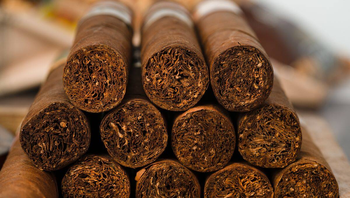 Gasolinas, cigarros y refrescos subirán de precio en 2025