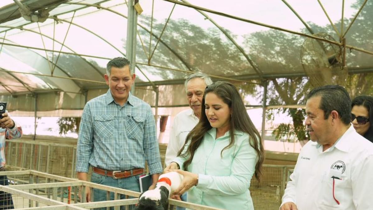 Gobierno de Sonora fortalece la productividad lechera: Célida López