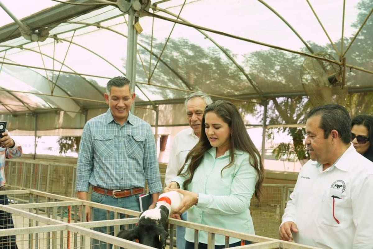 Gobierno de Sonora fortalece la productividad lechera: Célida López