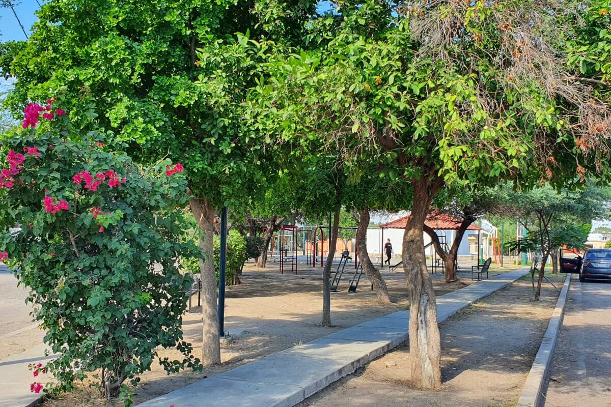 Cinco parques de Hermosillo son sustentables