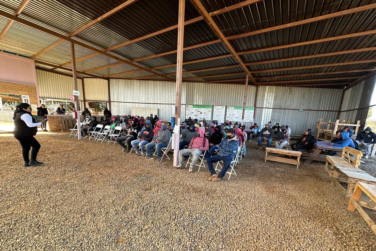 Orientan a jornaleros sobre acoso, hostigamiento sexual y trata de personas