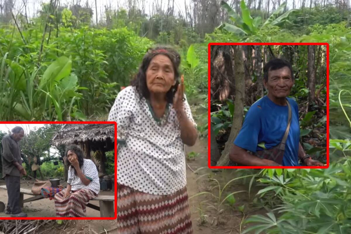 Tsimane: La comunidad amazónica que desafía la vejez ¿cuál es el secreto de su salud?
