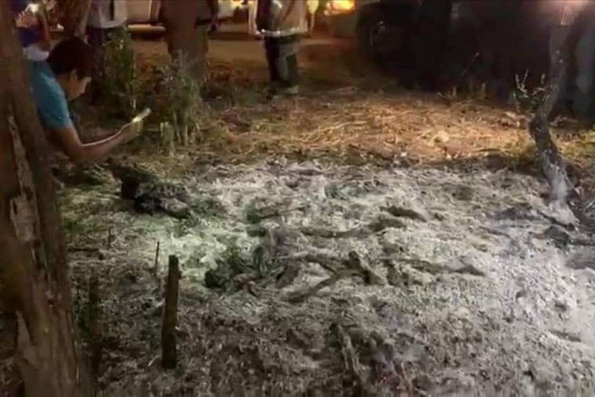 UNAM estudiará fragmentos de meteorito que cayó en Tamaulipas