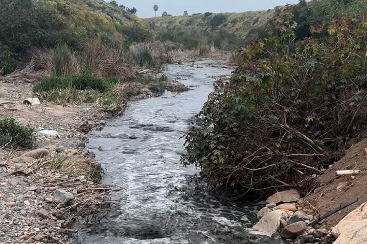 Debe repararse el daño ecológico en arroyos de Ensenada