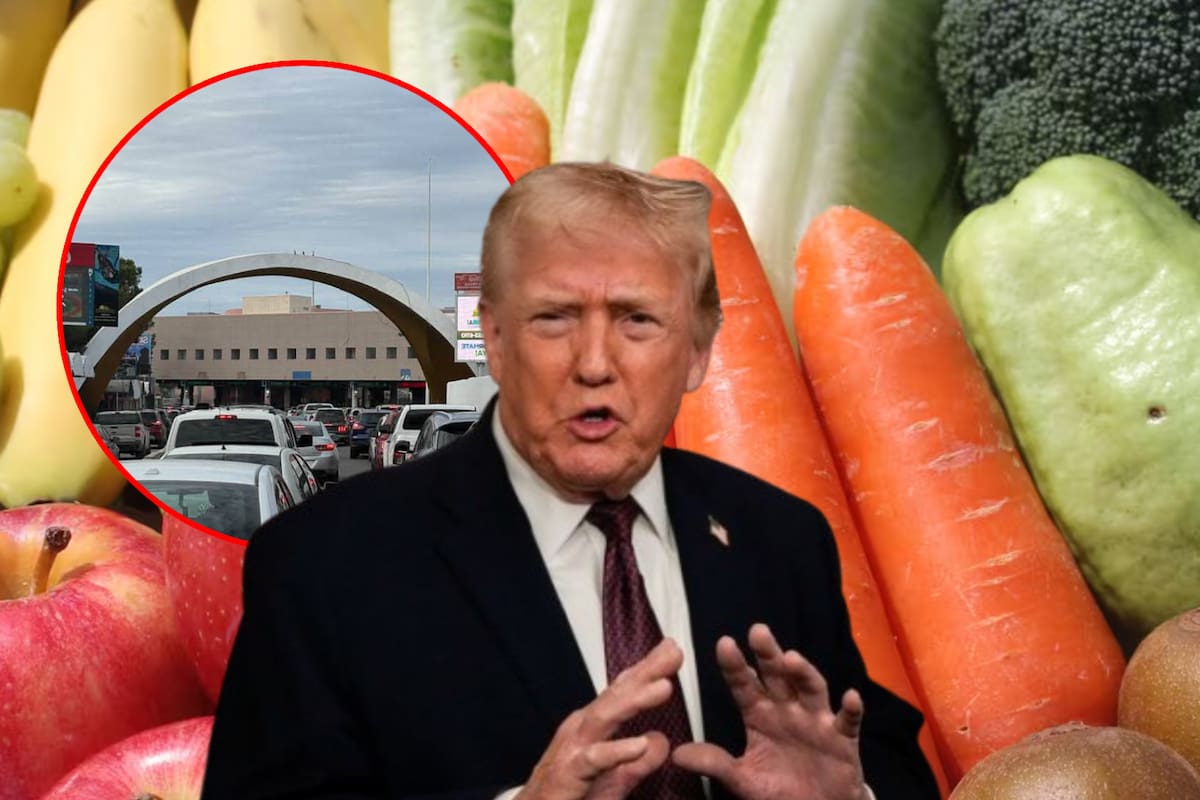 Si vas a Estados Unidos solo podrás cruzar estos alimentos, verduras y carnes para evitar multas o retenciones en la frontera con México