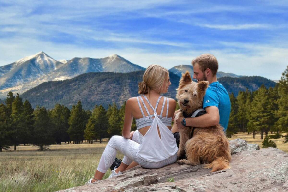 ¿Te atreves a realizar una visita autoguiada en Flagstaff?