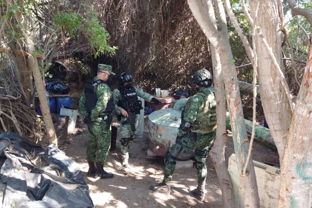 Marina desmantela 3 laboratorios de drogas en Sinaloa