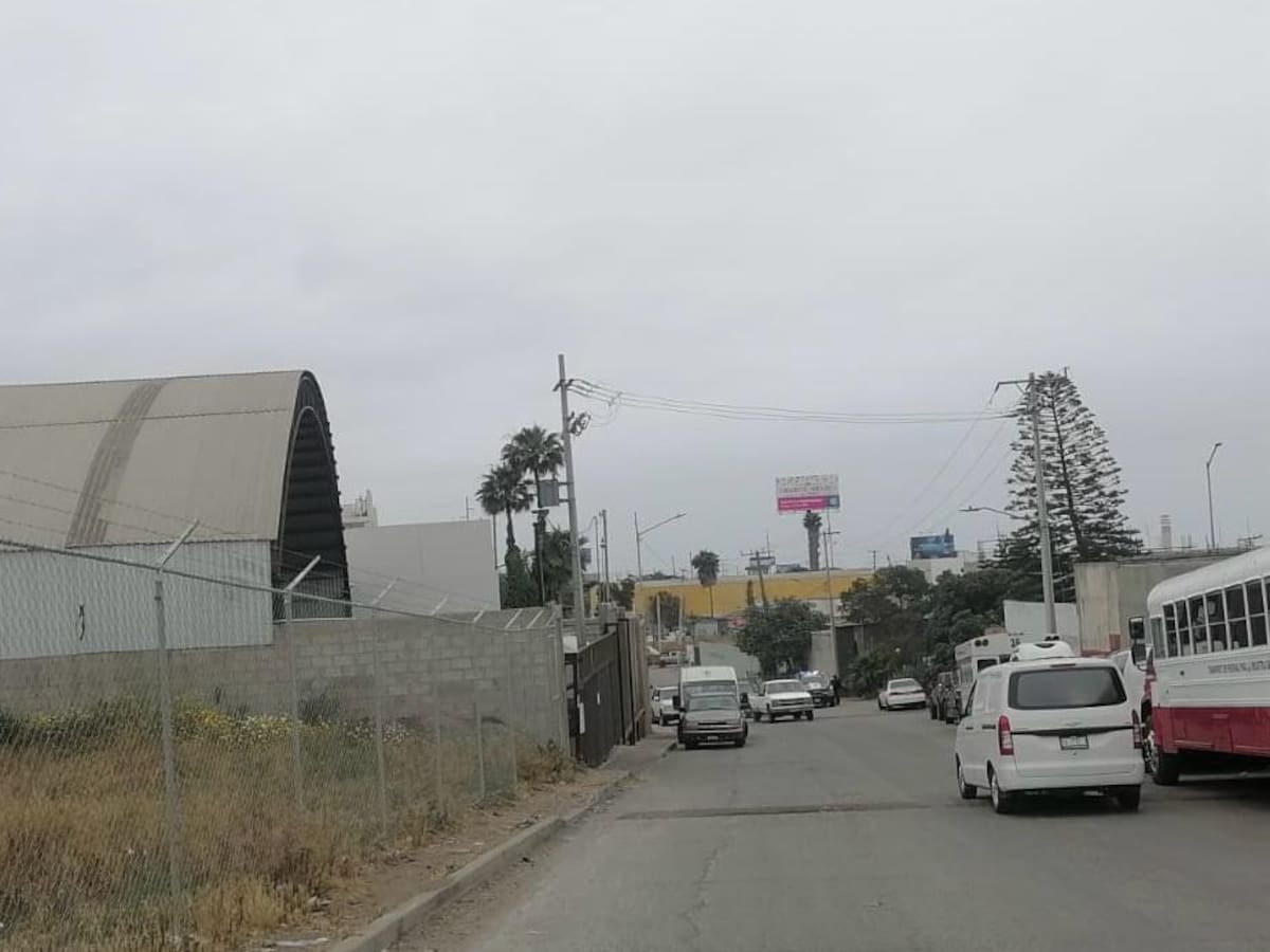 Foto: Carmen Gutiérrez