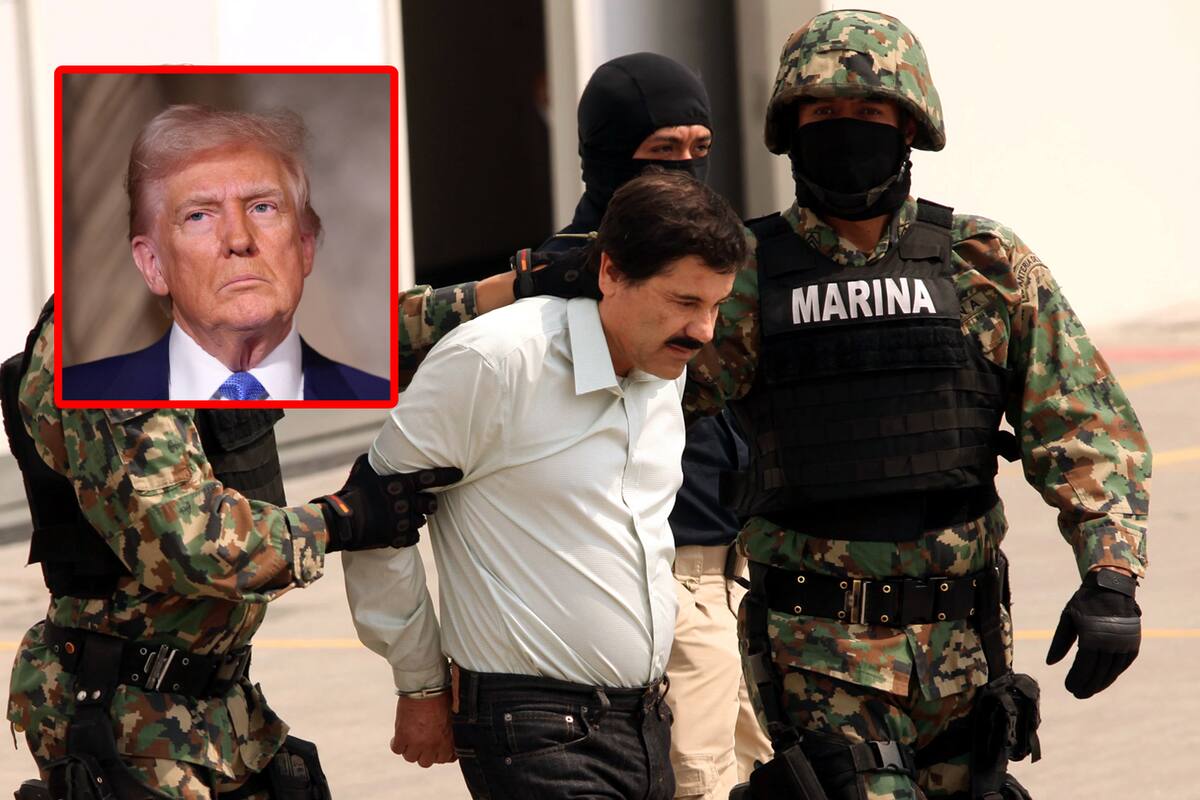 Implicaciones de tener relación con cárteles considerados terroristas por EU