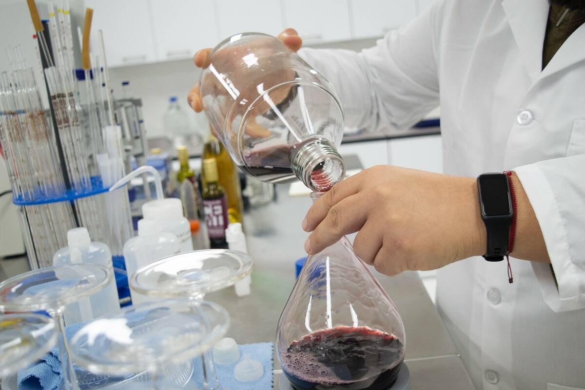 Cevit desarrolla estudio para descubrir la identidad del vino bajacaliforniano