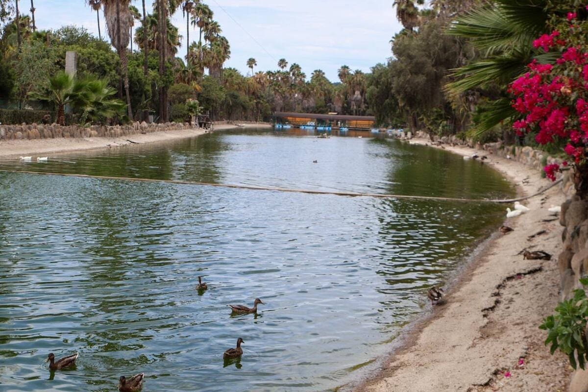 Descarta Sindicatura Municipal de Tijuana cierre de la UMA del Parque Morelos