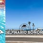 Muere Moana, delfín de 8 años del Delfinario Sonora en Guaymas; aún no se sabe qué causó su muerte y el recinto permanece cerrado por daños del huracán Polo