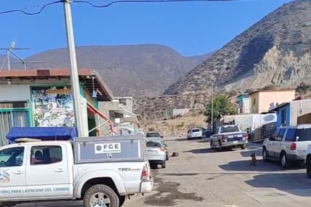 Perros son vistos con restos humanos en Villas del Prado II en Ensenada