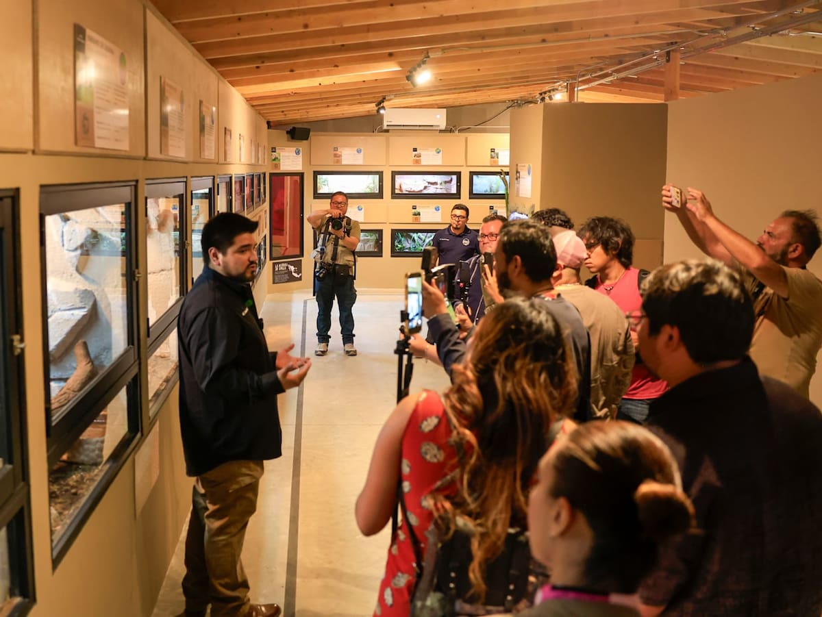 Foto: Juan J Morales