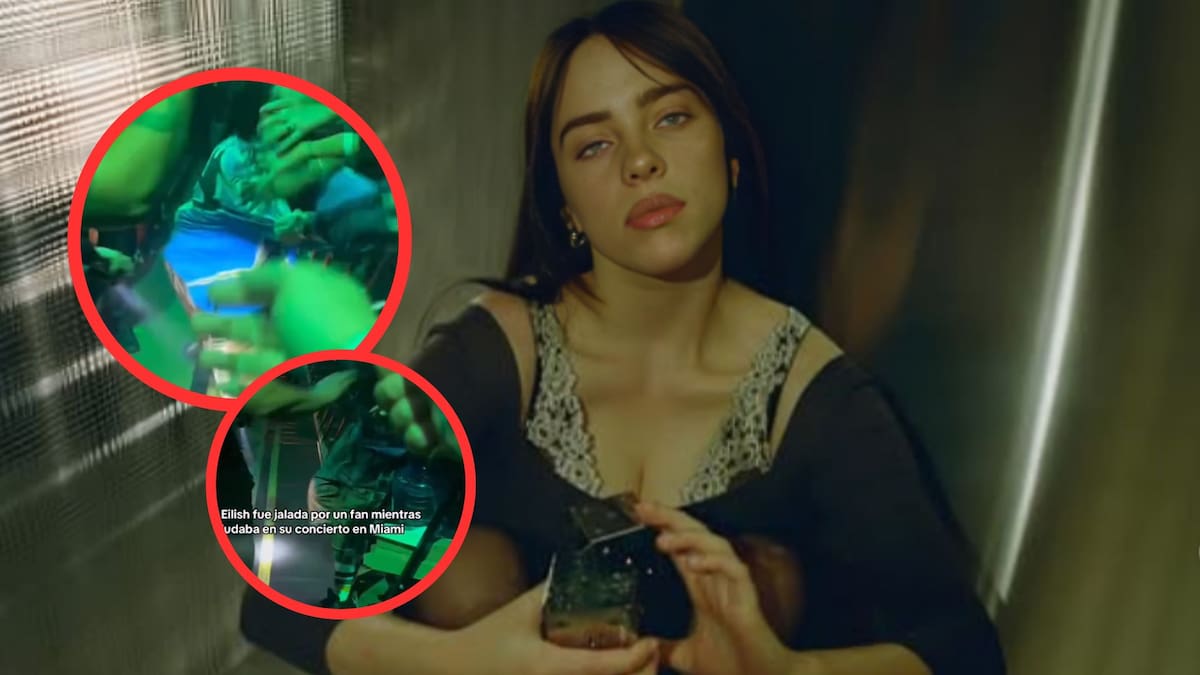 Billie Eilish es jalada por un asistente durante concierto en Miami | Foto: IG (@billieeilish) / Captura de video