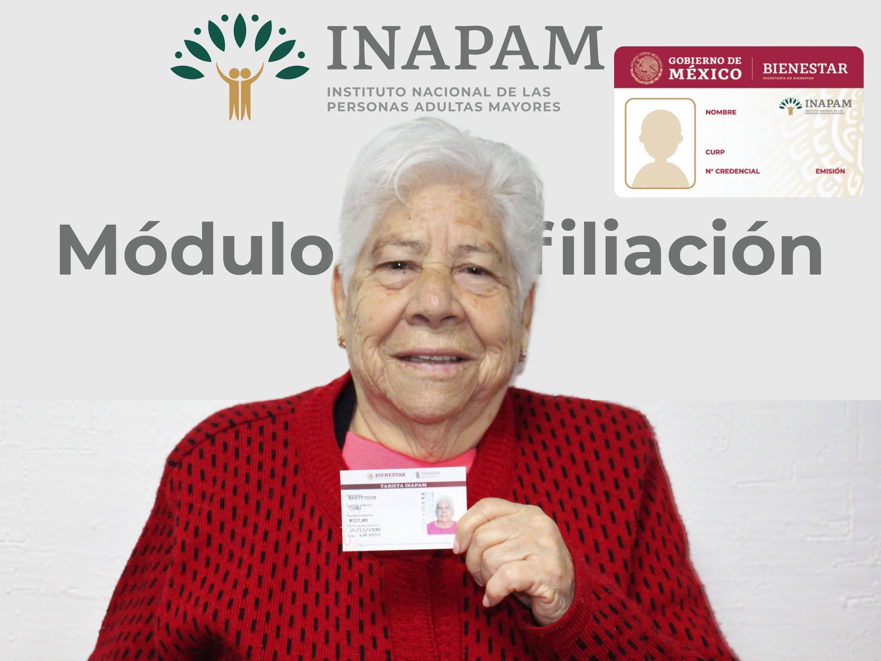La credencial Inapam puede dañarse y requerirse una reposición, o también es posible que se extravío o la roben, en cuyo caso es necesario solicitarla de nuevo
