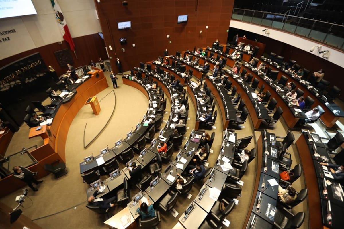 ¿A quiénes se les aplicará la ley de amnistía en México?