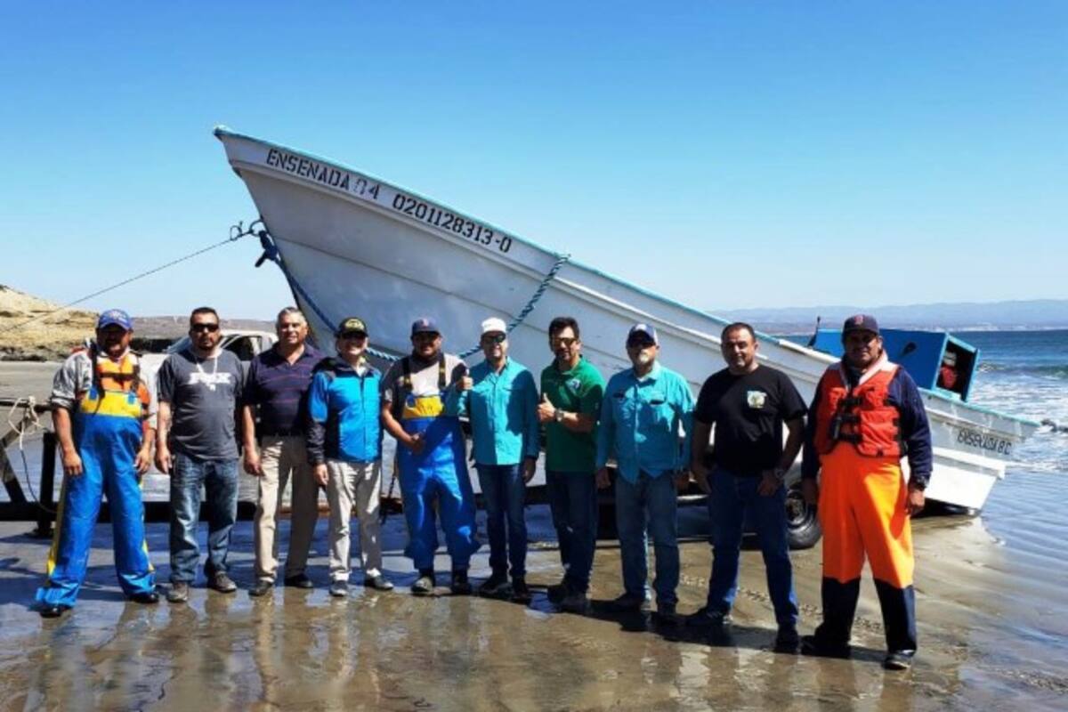Temporada de langosta transcurre sin contratiempos
