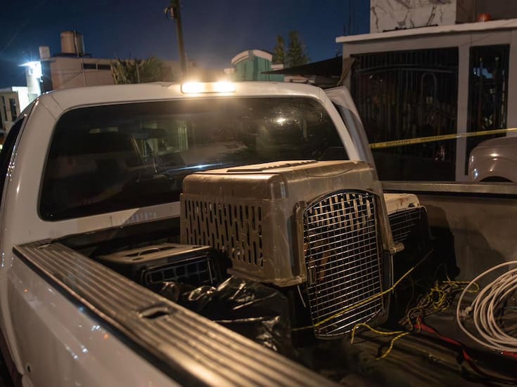 Rescatan a siete perros tras cateo en Tijuana; uno fue localizado sin vida